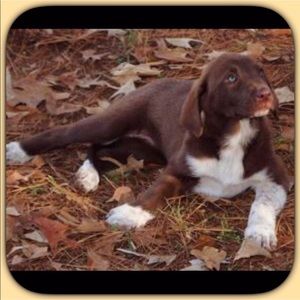 🧡NEW ITEMS JUST ARRIVED! Super fast shipping!